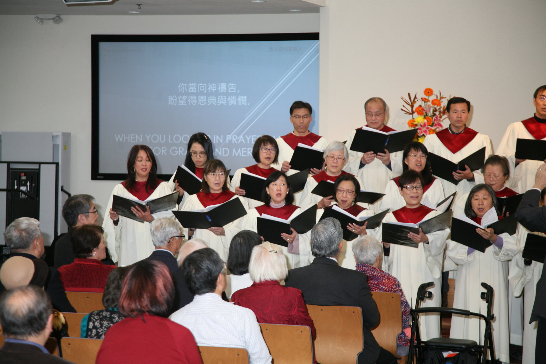 IMG 9557