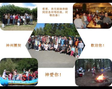2010-shenzhou